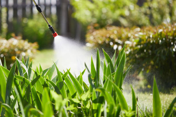 Tamper-Resistant Bait Stations for Rodents in Carpinteria
